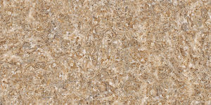 Colección Premium Regular Stock India decoración interior azulejos 600X1200mm Fabricación en India para salir de la habitación. - Product Image 2