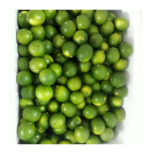 Lima fresca de origen vietnamita Premium/Limón de alto grado sin semillas/Sabor agrio y fresco de cítricos naturales 100% - Product Image 3