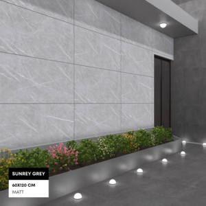 Choix de qualité supérieure Finition mate 9mm Épaisseur 600x1200mm Carrelages de sol en bois de porcelaine pour toilettes publiques. - Product Image 1