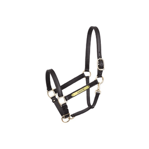 2022เชือกแขวนคอหนังม้าทำจากหนังแบบร่างคุณภาพสูง - Product Image 1