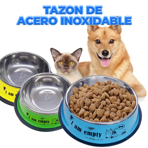 Grande Ciotola Ecologica in Acciaio Inox per Animali Domestici, Set Automatico 2-in-1 con Cucchiaio e Bottiglia, Pratico Set per l'Alimentazione in Confezione Box - Product Image 4