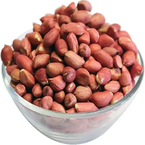 High grade 100% Natural Java Peanuts for Making Oils and Butter from Trusted Indian Supplier at Wholesale Prices