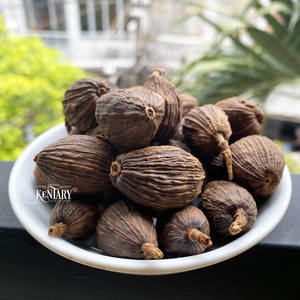 สมุนไพรสำหรับอาหารรสเลิศเมล็ดกระวานดำเครื่องเทศเดียวมีกลิ่นหอมส่งตรงจากเวียดนาม - Product Image 1