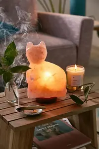 Lampes en forme de chat de sel de l'Himalaya avec ampoule et câblage, lampes au sel de l'Himalaya de qualité supérieure, lampes au sel de l'Himalaya pakistanais - Product Image 4