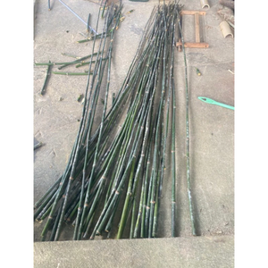 Bastones de Bambú | Paneles de rollos de valla de jardín de bambú Edificios de jardín de bambú Esgrima Enrejado y puertas Paneles de valla - Product Image 5