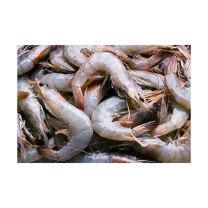 Camarones de río enteros de bajo costo, de todos los tamaños, organizados para requisitos de venta al por mayor. - Product Image 1
