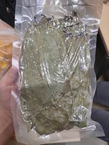 100% Corossol naturel de qualité supérieure vérifié sans OGM Feuilles de Corossol séchées Vente en gros du Vietnam Tisane sans caféine - Product Image 2