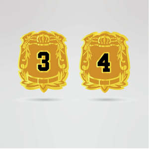 Ceinture de championnat de lutte personnalisée, design Aigle Doré, avec logo métallique et image personnalisée, ceinture de titre - Product Image 3