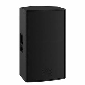 Haut-parleur actif DZR15 2000W 15 pouces - Haut-parleur professionnel bi-amplifié à haut SPL - Commandez dès maintenant - Product Image 1