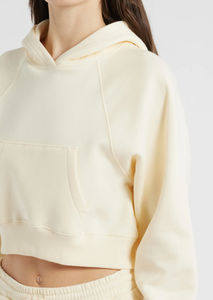 Ensemble 2 pièces pour femmes coton éponge français Joggers pantalon sweat à capuche survêtement d'hiver brodé taille élastique jambe large avant - Product Image 3