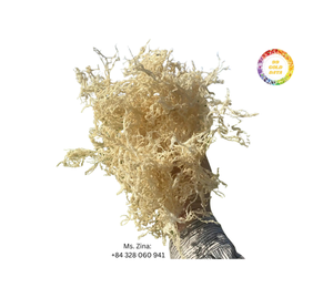 Haute qualité 100% mousse de mer crue biologique en grandes quantités sac de processus AD séché emballage nouveau modèle prix compétitif Vietnam - Product Image 2