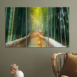 Arte en lienzo de bosque de bambú iluminado por el sol: impresión decorativa zen japonesa tranquila, JUEGO DE 3 LIEÑOS - Product Image 1