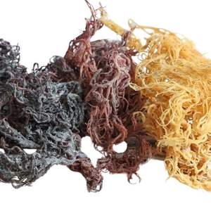 <b>Natural</b> Dried Seamoss High Quality Best Service - Product Image 3