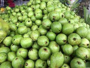 ฝรั่งสีชมพูเมืองเมกง ผลไม้อบแห้งหวานนุ่มจากแหล่งปลูกเมืองเมกง - Product Image 2