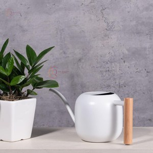 บัวรดน้ำสแตนเลสสำหรับสวนในบ้านดีไซน์หรูหราอุปกรณ์เคลือบผงสีขาวทรงกลม - Product Image 5