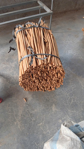 Tubes de cannelle de produits d'exportation agricole du Vietnam de haute qualité pour une utilisation agricole de qualité - Product Image 4