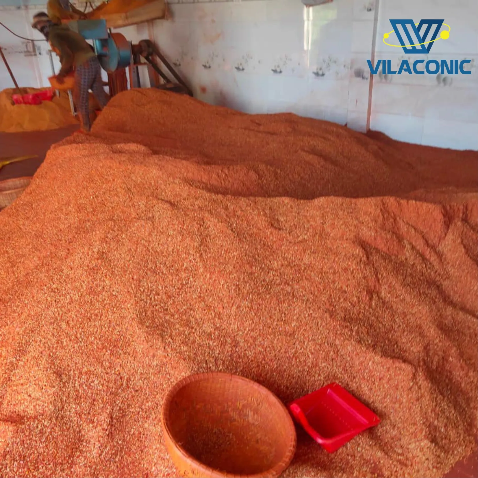 Vilaconic Cheap Price Dried Chilli Powder Super hot spicy (Ms Quincy WA: 84858080598)