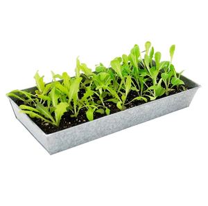 Bandeja de servicio de metal con forma rectangular de estilo único para el hogar, accesorio decorativo para hotel, restaurante, bar, utensilios de cocina, decoración de mesa, hecho en la India - Product Image 4