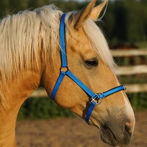 Vente en gros de licou d'équitation confortable en nylon avec rembourrage en fourrure polaire de qualité supérieure - Product Image 1