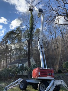 Recolector de cerezas asequible Elevador de pluma Elevador aéreo articulado autopropulsado hidráulico Recolector de cerezas a precios moderados - Product Image 2