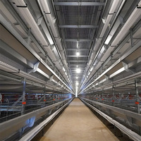 Gallinero Moderno de Acero Galvanizado con Diseño de Granja Avícola y Sistema Automatizado para la Prevención de la Gripe Aviar y Baja Mortalidad