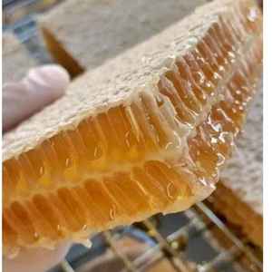 Extracto Herbal Silvestre Crudo Sin Filtrar de Grado Alimenticio, Miel Líquida Orgánica Natural, Endulzante Rico en Nutrientes - Product Image 3