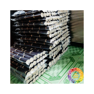 Caña de azúcar congelada fresca y dulce en bolsas de vacío Listo para usar Frescura de larga duración para fines culinarios y de jugo - Product Image 2