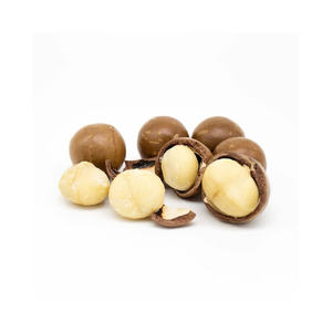 NUECES DE MACADAMIA DE VIETNAM AL POR MAYOR, FRESCAS Y CRUJIENTES, MEJOR PROVEEDOR, MEJOR PRECIO DE EXPORTACIÓN - Product Image 1