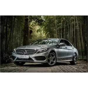 Impression sur toile Fida Silver Mercedes Classe C dans un décor de forêt de bambou - Product Image 6