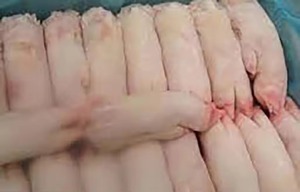 ขาหมูแช่แข็งขาเนื้อหมูสดแช่แข็ง (ขาหมูแช่แข็ง) บรรจุภัณฑ์จำนวนมากบรรจุเป็น5กก. จากสหรัฐ - Product Image 3