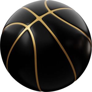 Basket-ball d'entraînement Formation quotidienne professionnelle Conception de logo personnalisé - Product Image 2