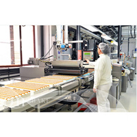 Mini Machine à Gâteaux Moelleux Entièrement Automatique pour Petites Entreprises, Ligne de Production de Muffins, Machine de Fabrication de Gâteaux