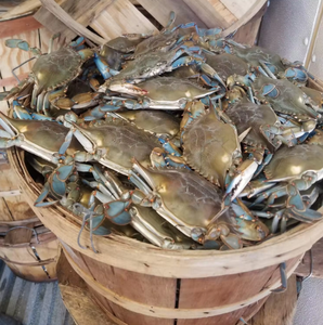 Citation la moins chère Paniers de crabe de boisseau en bois avec couvercle et poignées Échantillons disponibles pour le test de qualité Expédition aux États-Unis - Product Image 6