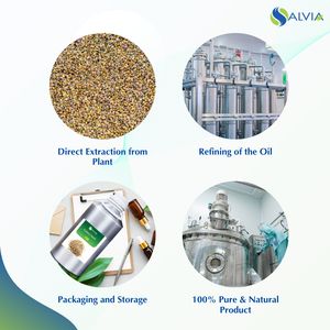Venta al por mayor a granel 100% aceite esencial de semilla de apio puro y natural embalaje personalizado precio bajo - Product Image 4