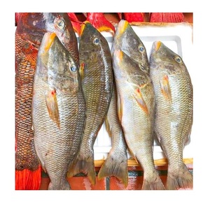 Poisson empereur entier congelé de qualité supérieure, vente en gros de fruits de mer - Product Image 2