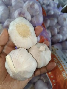 Best Quality <b>Fresh</b> Natural <b>Garlic</b> New Crop <b>Fresh</b> Normal White <b>Garlic</b> - Product Image 1