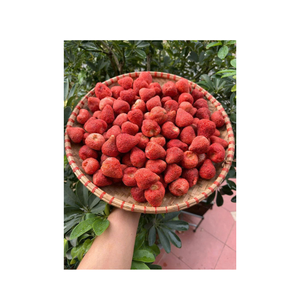 Collations déshydratées aux fraises tranchées du Vietnam, idéales pour les grossistes, les détaillants et les entreprises à la recherche d'ingrédients de qualité supérieure - Product Image 2