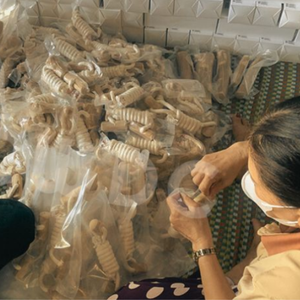 กาแฟและโกโก้เคี้ยว - ขนมเคี้ยวธรรมชาติที่ทนทาน สำหรับสุนัขที่ชื่นชอบ - Product Image 6