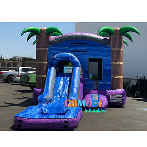 Château rebondissant de palmier avec toboggan Utilisation commerciale Waterslide Bounce Combo Commercial Bounce House Combo - Product Image 5