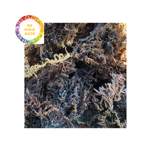 Musgo de mar crudo natural Eucheuma Cottonii secado para cocinar, gel de algas marinas y formulaciones naturales - Product Image 3