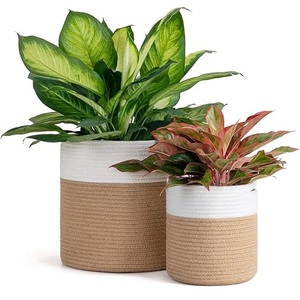 Cesta de maceta de algas marinas, macetas de plantas naturales, contenedores, maceta de decoración increíble, da un aspecto natural atractivo a tu hogar y jardín - Product Image 1