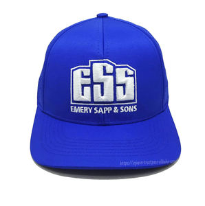 Gorra de camionero de algodón bordada en 2D y 3D, sombrero deportivo cómodo, logotipo personalizado, clásico, creativo, Hip Hop, hecho, Vietnam, playa, informal - Product Image 1