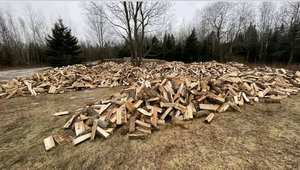 Qualité Sèche Hêtre Bois De Chauffage Four Séché Bois De Chauffage Sacs Feu Bois Palettes Longueur 25 Cm 33 cm Allemagne - Product Image 2