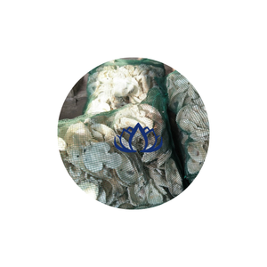 CONCHA DE OSTRA ION ELEVAR PH EN ACUARIOS DE TANQUE DE PECES DE GRANJA DE LOTO AZUL VIETNAM - Product Image 1