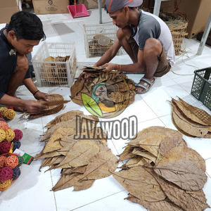 ใบคาตาปปาหมักปรับปรุงสุขภาพในราคาที่ดีที่สุดจากประเทศอินโดนีเซีย - Product Image 2