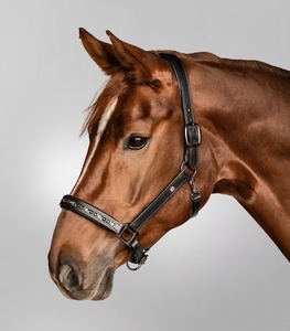 Halter de cuero negro con CABALLO DE LUJO DE CRISTAL CON CADENA DE CRISTAL y PIEZA DE NARIZ ARTESANÍA DURA DE METAL DE LATÓN ACOLCHADO SUPER SUAVE - Product Image 3