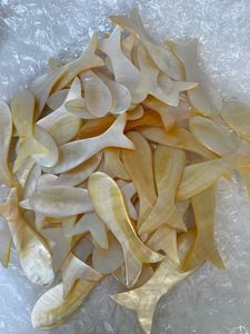 Personnalisé naturel nacre coquillages exquis naturel coquille caviar cuillère cuillère à café artisanat cuisine louches - Product Image 3