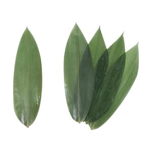 Fourniture en gros de feuilles de bambou emballées sous vide à bon prix - Product Image 5