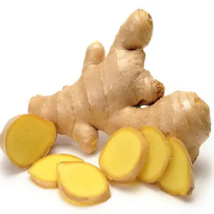 Lowest Price new crop of fresh ginger and garlic Premium Quality Bulk