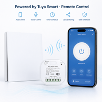 Interrupteur mural intelligent Tuya pour maison connectée, type C, WiFi, RF433, sans fil, bouton poussoir, contrôle vocal, compatible Alexa GoogleHome